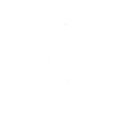 Leihuang Master skill icon