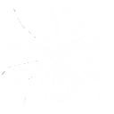 Bow to the Last Light skill icon