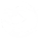 Netrunner skill icon