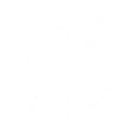 Furled Canopy: Flash Rift skill icon
