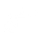 Lynae-Style Palettes skill icon