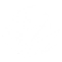Golden Grace skill icon