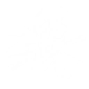 Prismatic Overblast skill icon