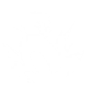 Scroll Divination skill icon