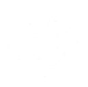 Emergency Plan skill icon