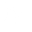 Warrior's Blade skill icon