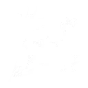 Harmonic Allegro skill icon