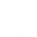 Heartward by Moon skill icon