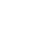 Radiant Invocation skill icon