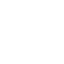 Fervor Efflorescent skill icon