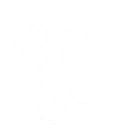 Formless Heart Sword skill icon