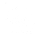 Binary Butterfly skill icon