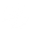 Lethal Repertoire skill icon