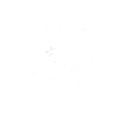 Strive: Lion's Vigor skill icon
