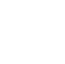 Tripartite Flames skill icon