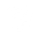 Heroic Bullets skill icon
