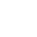 Manifold Bloom skill icon