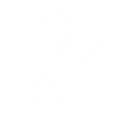 Illusion Breaker skill icon