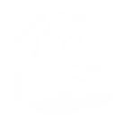 Crimson Bloom skill icon