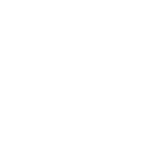 Stride of Goldenflare skill icon