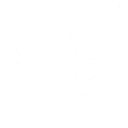 Critical Protocol skill icon