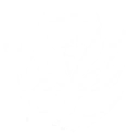 Nexus Alight skill icon
