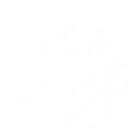 Radiance of Fealty skill icon