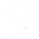 Countermeasure Program skill icon
