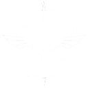 Spark from the Frost skill icon