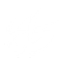 Trailing Lights of Eons skill icon