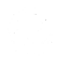 Serene Vigil skill icon