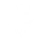 Verdant Growth skill icon