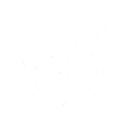Starflower Blooms skill icon
