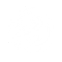 Ignis Lupa skill icon
