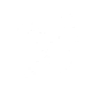 Whizzing Fight Spirit skill icon