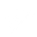 Thunderous Fury skill icon
