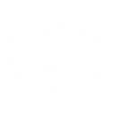 Strategy of Duality skill icon