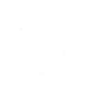 Feint Shot skill icon
