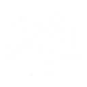 Storm's Echo skill icon