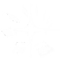 Phantom Frame skill icon
