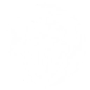 Tempest skill icon