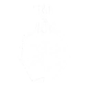Wintertime Aria skill icon