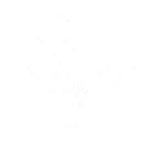 Roaming with the Wind skill icon