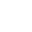 Ultimate Tactics skill icon