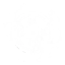 Flashing Thunder Spell skill icon