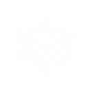 Magnetic Roar skill icon