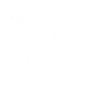 Umbral Canopy: Miasma Lock skill icon
