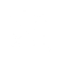 Execution skill icon