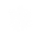 Thundering Wrath skill icon