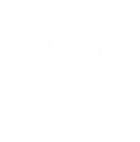 Purification Force Field skill icon